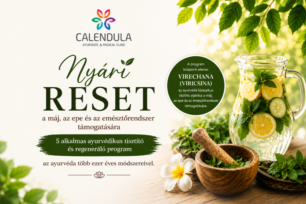 Nyári reset a májnak és az emésztőrendszernek